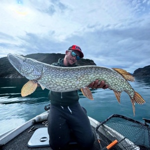 Montura Swimbait Baby Moustache Shallow Kingston 15g - echipament pentru pescuit - Fisela