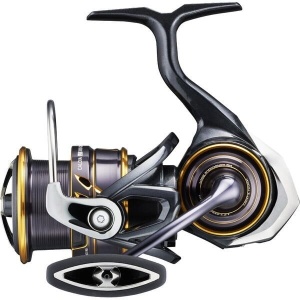 Mulineta Daiwa Caldia MQ LT
