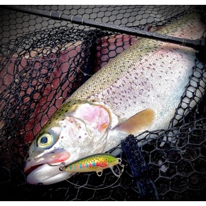 Rapala Countdown CD03 TR Brown Trout 3cm 4g - Img 12