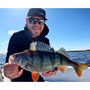 Rapala Crushcity The Kickman Sparkle Shad 10cm 7buc - Img 2