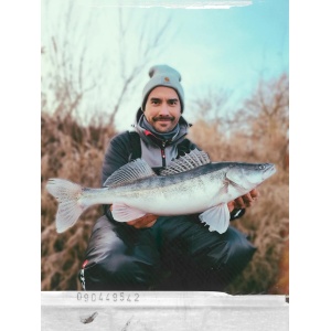 Rapala The Curl Ayu 9cm 8buc