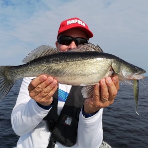 Rapala The Stingman Lime Chartreuse LCH 7.5cm 10buc