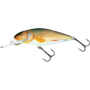 Salmo Perch PH8DR RR Real Roach 8cm 14g
