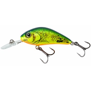 Salmo Rattlin Hornet 5.5F CIS Chartreuse Shad 5.5cm 10g