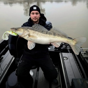 Swimbait Stiuca Rapala Soft Olio Fire Tiger FT 18cm 55g - Img 9