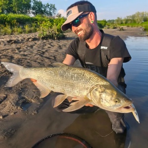 Vobler Rapala Vobler Countdown Elite CDE55 GDIW 5.5cm 5g pentru pescuit la rapitori - Fisela