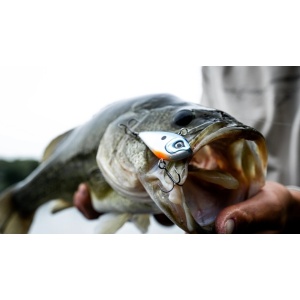 Vobler Rapala Snare SN50 GGSD 6cm 16g pentru pescuit la rapitori - Fisela