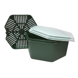 Cutie Momeli Carp Expert Practic 2L