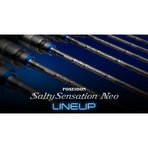 Lanseta Evergreen Salty Sensation Neo NEOS-82-HT 249cm 1.5-24g pentru pescuit - Fisela