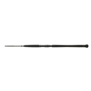 Lanseta Daiwa Somn Powermesh Catfish Spin 2.70m 185g pentru pescuit - Fisela