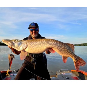 Montura Swimbait VMC Moustache Rig Butternut (11g, 20g, 40g) - echipament pentru pescuit - Fisela