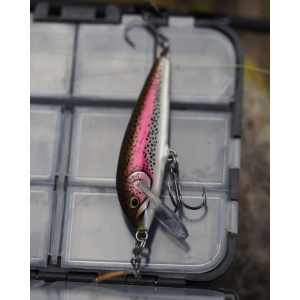Rapala Countdown CD03 TR Brown Trout 3cm 4g - Img 9