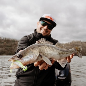 Rapala Crushcity The Kickman Sparkle Shad 10cm 7buc - Img 19
