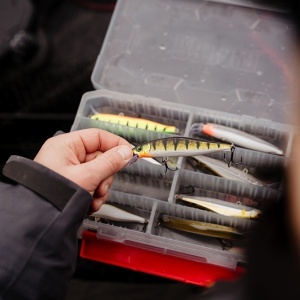 Rapala Precision Xtreme Airboss Live Roach ROL 8cm 9g - Img 9
