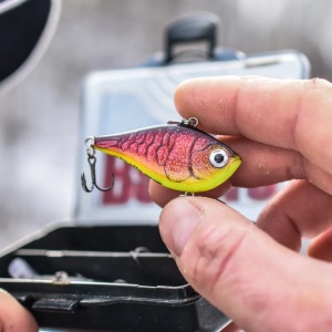 Rapala Rippin Rap RPR06 MFR Moldy Fruit 6cm 14g - Img 8