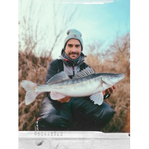 Rapala The Curl Arkansas Shiner ASH 9cm 8buc