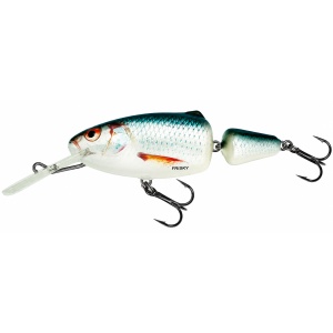 Salmo Frisky 7DR RD Real Dace 7cm 9g