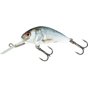 Salmo Hornet H4S RD Real Dace 4cm 4g
