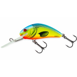 Salmo Hornet H6S CB Chartreuse Blue 6cm 14g