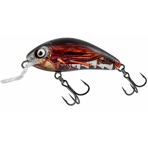 Salmo Rattlin Hornet Shallow 4.5F Real Cockchafer 4.5cm 5.5g