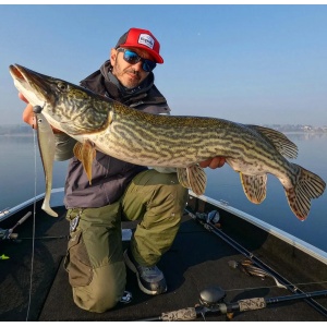 Swimbait Stiuca Rapala Soft Peto FT 16cm 36g - echipament pentru pescuit - Fisela