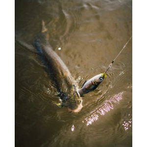 Vobler Pentru Stiuca Rapala X-Rap Otus XROU25 PEL 25cm 90g - Img 8