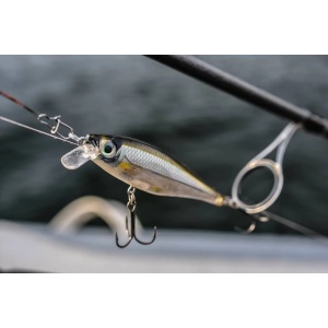 Vobler Rapala BX Minnow BXM07 FT 7cm 7g - Img 9