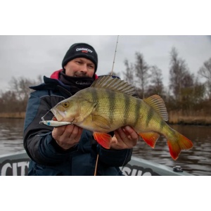 Vobler Rapala Vobler Countdown Elite CDE55 GDIW 5.5cm 5g pentru pescuit la rapitori - Fisela