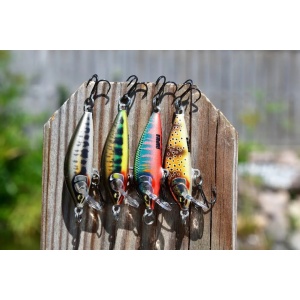 Vobler Rapala Vobler Countdown Elite CDE55 GDPY 5.5cm 5g pentru pescuit la rapitori - Fisela