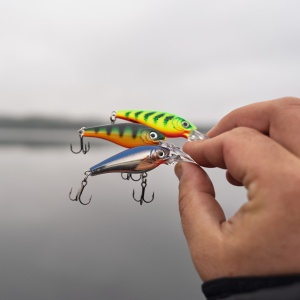 Vobler Rapala Harvest Shad HVSD05 SPSH 5cm 5g