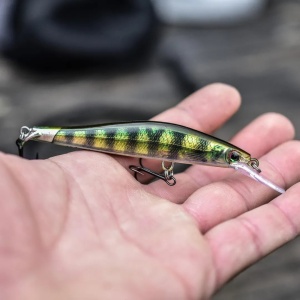 Vobler Rapala RipStop Deep RPSD12 HDI 12cm 15g pentru pescuit la rapitori - Fisela