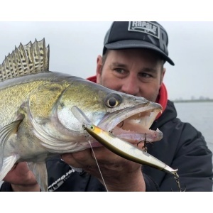 Vobler Rapala RipStop Deep RPSD12 MRL 12cm 15g pentru pescuit la rapitori - Fisela