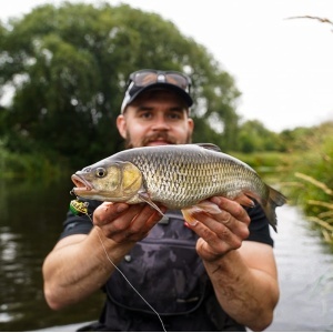 Vobler Salmo Vobler Lil Bug BG3F BBG 3cm 4.3g pentru pescuit la rapitori - Fisela