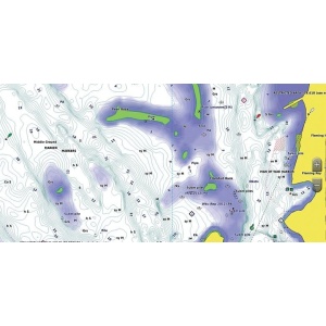 Harta Fluviului Dunarea - Garmin - echipament pentru pescuit - Fisela