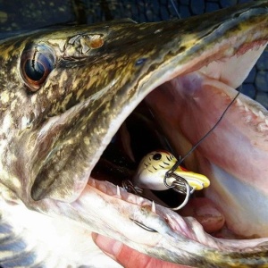 Naluca Stiuca Rata Savage Gear 3D Suicide Duck UD 10.5cm 28g - Img 5