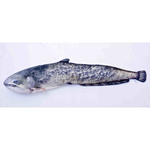 Perna Cadou Pescuit Somn Artificial din Plus 105cm