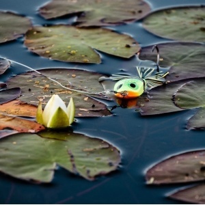 Vobler Rapala Stiuca BX Skitter Frog BXSF05 SSN 5.5cm 13g pentru pescuit la rapitori - Fisela