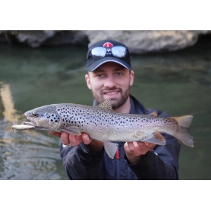 Rapala Countdown CD03 RT Rainbow Trout Trout 3cm 4g - Img 16