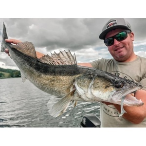 Rapala Crushcity The Kickman Sparkle Shad 10cm 7buc - Img 16