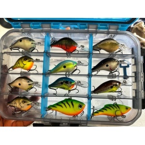 Rapala Dives-To DT08 SD Shad 5cm 12g