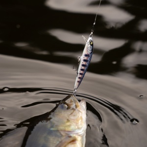 Vobler Rapala Floater Elite FE85 GDPY 8.5cm 6.5g pentru pescuit la rapitori - Fisela
