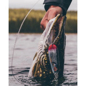 Rapala Nauvo Gold Fluorescent Red GFR 6.6cm 19g