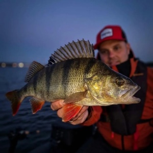 Rapala Precision Xtreme Airboss Fire Tiger FT 8cm 9g - Img 2
