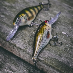 Rapala Shad Rap SR07 ROL Live Roach 7cm 8g - Img 2