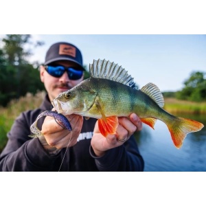 Rapala The Curl Perch Sparkle Shad SPSD 9cm 8buc