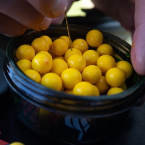Recipient Dipuire Wafters Korda Infuza Small - echipament pentru pescuit - Fisela