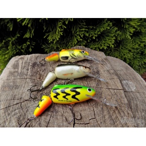 Salmo Frisky 7DR RD Real Dace 7cm 9g - Img 2