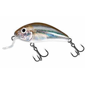 Salmo Rattlin Hornet Shallow 4.5F Supernatural Shiner 4.5cm 5.5g