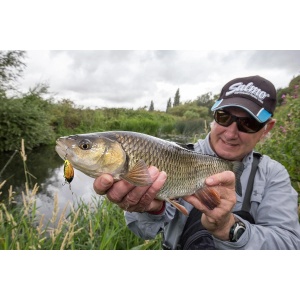 Salmo Tiny IT3S Peacock Bass PB 3cm 2.5g - echipament pentru pescuit - Fisela