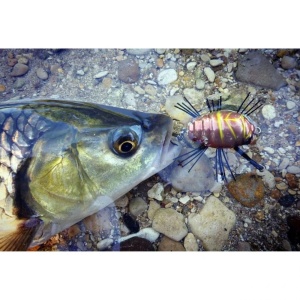 Vobler Clean Sakura Notobug 30F DR Albastru 30mm 3.5g pentru pescuit la rapitori - Fisela